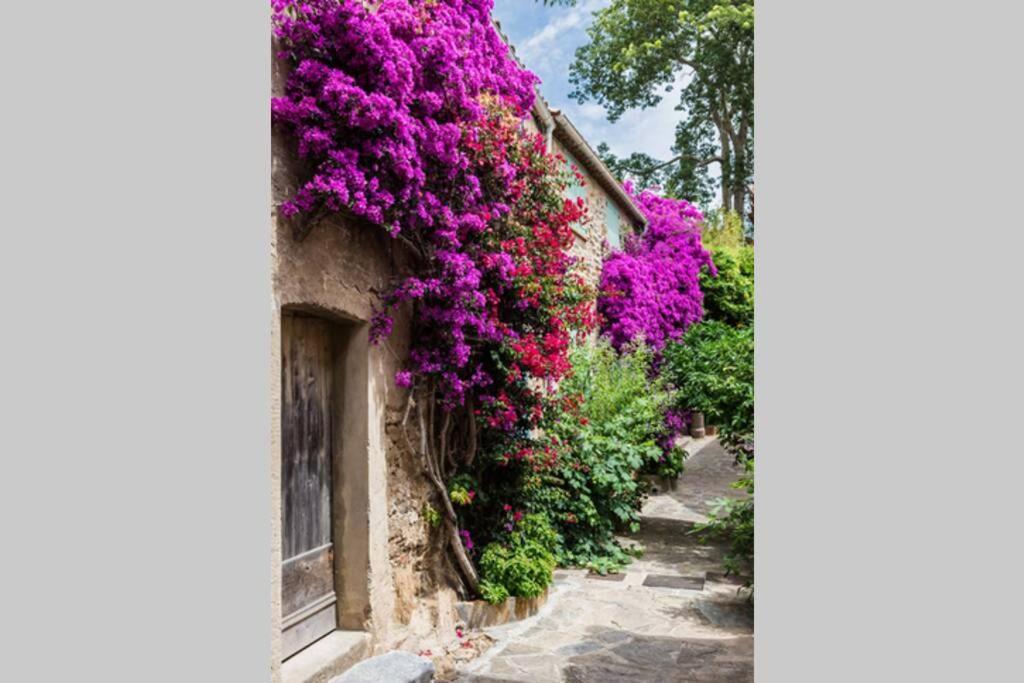 Apartamento Coquet 2 Pieces Coeur Vieil Antibes Exterior foto